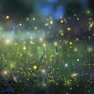 黑客破解大白天小俩囗实战
